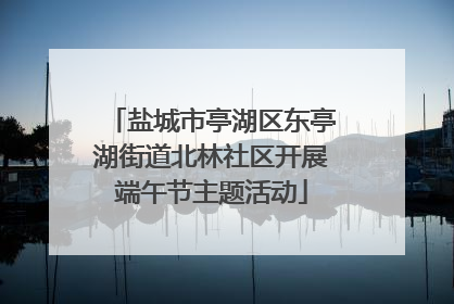 盐城市亭湖区东亭湖街道北林社区开展端午节主题活动