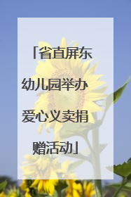省直屏东幼儿园举办爱心义卖捐赠活动