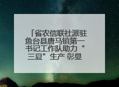 省农信联社派驻鱼台县唐马镇第一书记工作队助力“三夏”生产 彰显为民担当