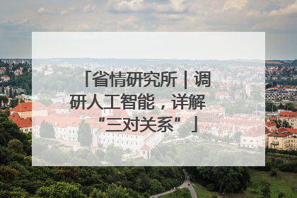 省情研究所｜调研人工智能，详解“三对关系”