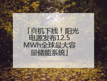 真机下线！阳光电源发布12.5MWh全球最大容量储能系统