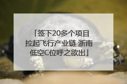 签下20多个项目 拉起飞行产业链 浙南低空C位呼之欲出