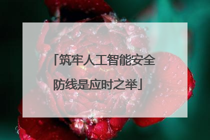 筑牢人工智能安全防线是应时之举