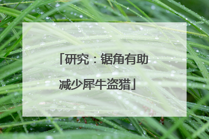 研究：锯角有助减少犀牛盗猎