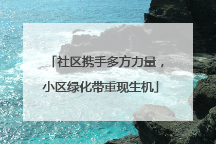 社区携手多方力量，小区绿化带重现生机