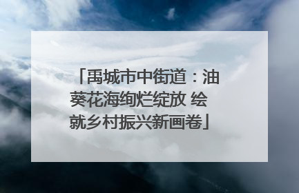 禹城市中街道：油葵花海绚烂绽放 绘就乡村振兴新画卷