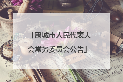 禹城市人民代表大会常务委员会公告
