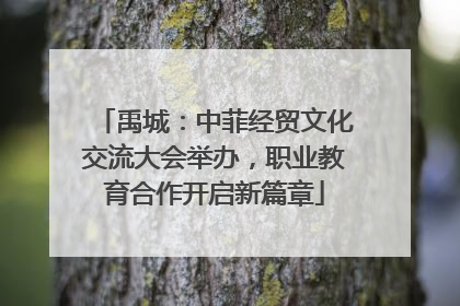 禹城：中菲经贸文化交流大会举办，职业教育合作开启新篇章