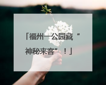 福州一公园藏“神秘来客”！