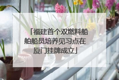 福建首个双燃料船舶船员培养见习点在厦门挂牌成立