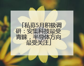 私募5月积极调研：安集科技最受青睐，半导体方向最受关注