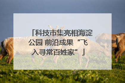 科技市集亮相海淀公园 前沿成果“飞入寻常百姓家”