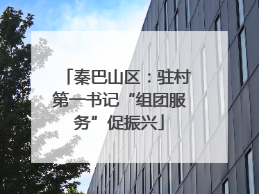 秦巴山区：驻村第一书记“组团服务”促振兴