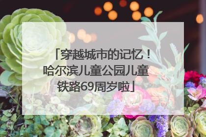 穿越城市的记忆！哈尔滨儿童公园儿童铁路69周岁啦