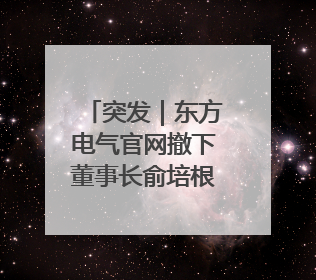 突发｜东方电气官网撤下董事长俞培根信息