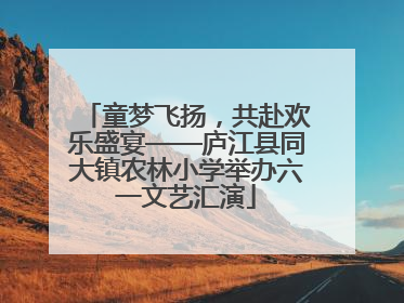 童梦飞扬，共赴欢乐盛宴——庐江县同大镇农林小学举办六一文艺汇演
