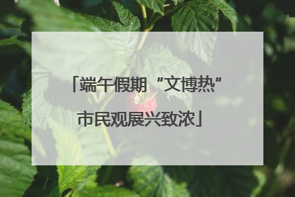端午假期“文博热” 市民观展兴致浓