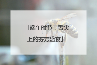 端午时节，舌尖上的芬芳盛宴