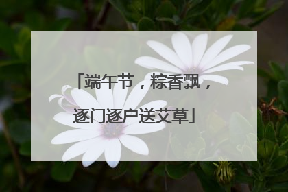 端午节，粽香飘，逐门逐户送艾草
