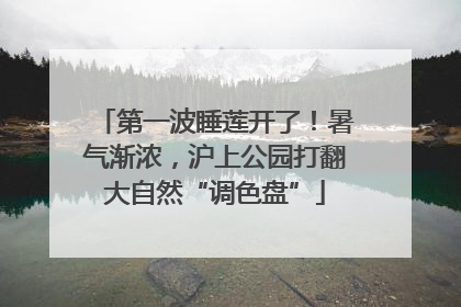 第一波睡莲开了！暑气渐浓，沪上公园打翻大自然“调色盘”
