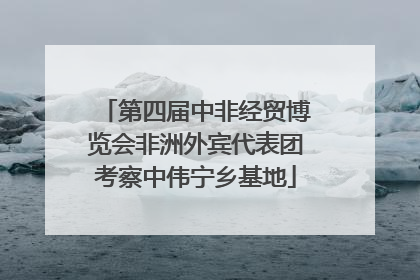 第四届中非经贸博览会非洲外宾代表团考察中伟宁乡基地
