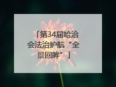 第34届哈洽会法治护航“全景回眸”
