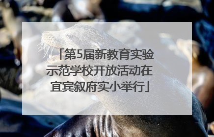 第5届新教育实验示范学校开放活动在宜宾叙府实小举行