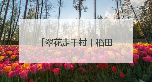 翠花走千村丨稻田有喜，螃蟹来了！