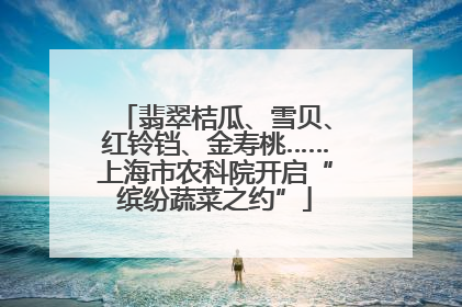 翡翠桔瓜、雪贝、红铃铛、金寿桃……上海市农科院开启“缤纷蔬菜之约”
