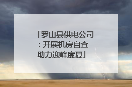 罗山县供电公司：开展机房自查 助力迎峰度夏