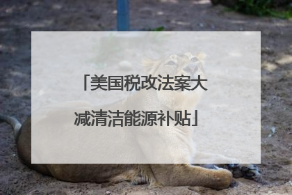 美国税改法案大减清洁能源补贴