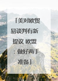 美对欧贸易谈判有新提议 欧盟：做好两手准备