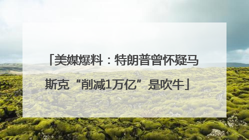 美媒爆料：特朗普曾怀疑马斯克“削减1万亿”是吹牛