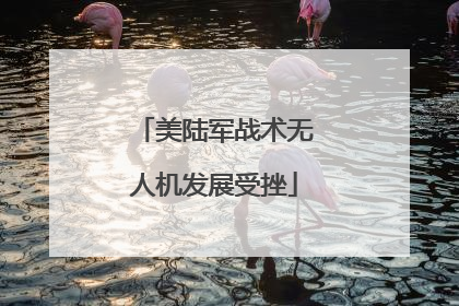 美陆军战术无人机发展受挫