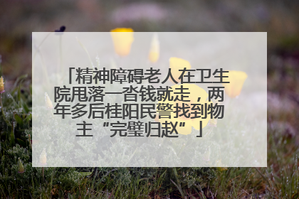 精神障碍老人在卫生院甩落一沓钱就走，两年多后桂阳民警找到物主“完璧归赵”