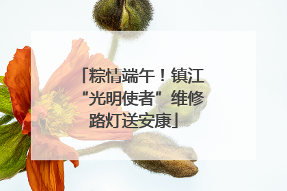 粽情端午！镇江“光明使者”维修路灯送安康