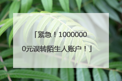 紧急！10000000元误转陌生人账户！