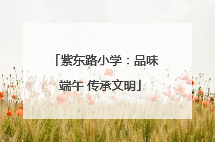 紫东路小学：品味端午 传承文明