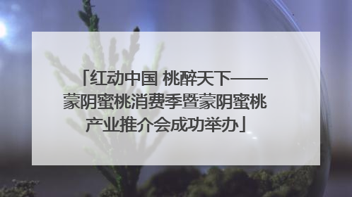 红动中国 桃醉天下——蒙阴蜜桃消费季暨蒙阴蜜桃产业推介会成功举办