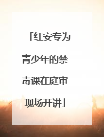 红安专为青少年的禁毒课在庭审现场开讲