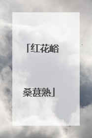 红花峪 桑葚熟