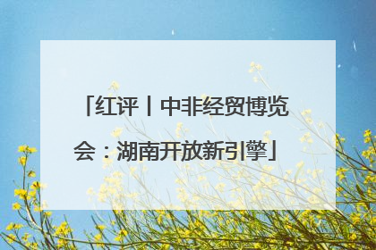 红评丨中非经贸博览会：湖南开放新引擎
