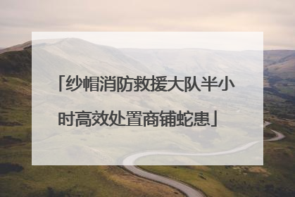 纱帽消防救援大队半小时高效处置商铺蛇患