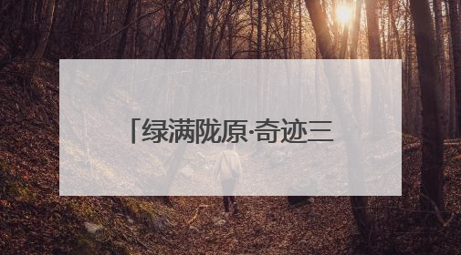 绿满陇原·奇迹三北｜梭梭林里种“黄金” 高台治沙致富很“从容”
