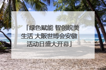 绿色赋能 智创皖美生活 大阪世博会安徽活动日盛大开幕