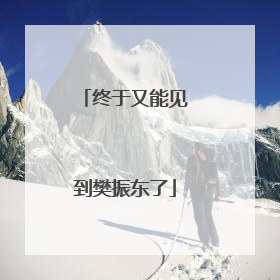 终于又能见到樊振东了