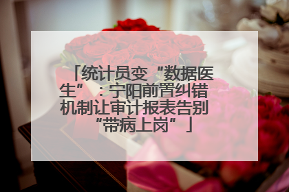 统计员变“数据医生”：宁阳前置纠错机制让审计报表告别“带病上岗”
