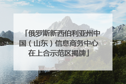 俄罗斯新西伯利亚州中国（山东）信息商务中心在上合示范区揭牌
