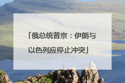 俄总统普京：伊朗与以色列应停止冲突