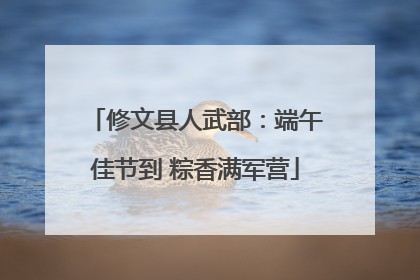 修文县人武部：端午佳节到 粽香满军营